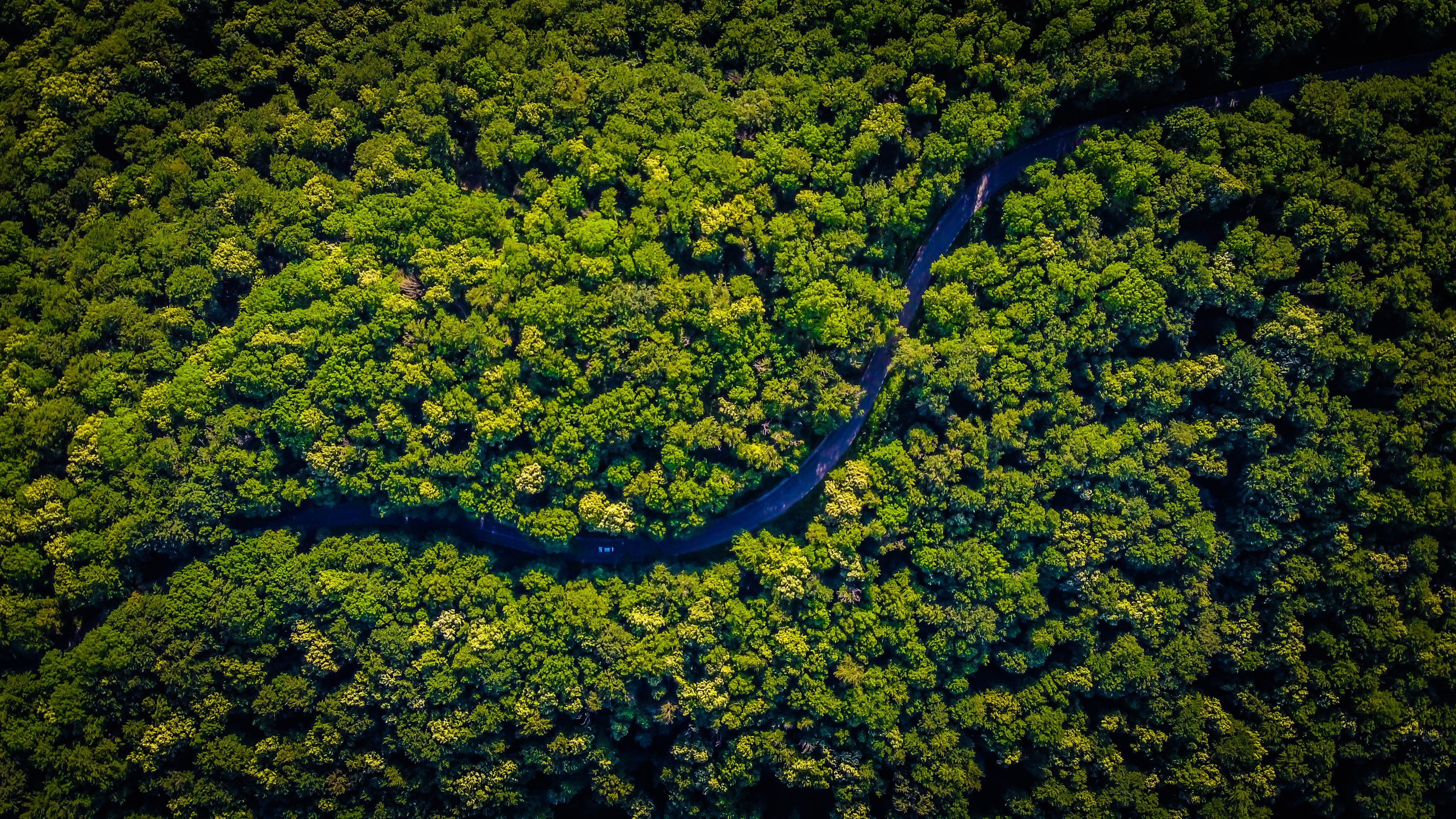 aerial view of the amazon river
