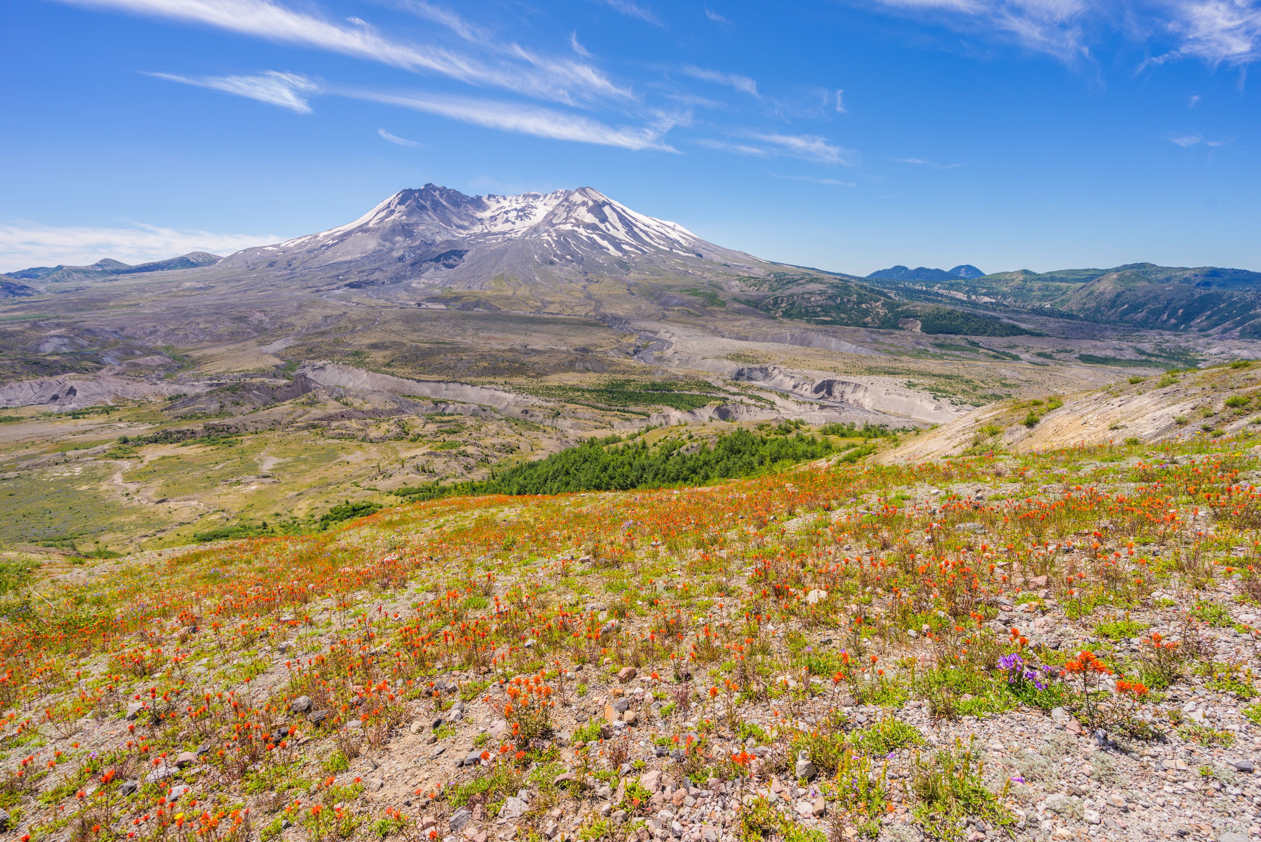 Mount St Helens after the eruption, when the ecosystem had begun to restore