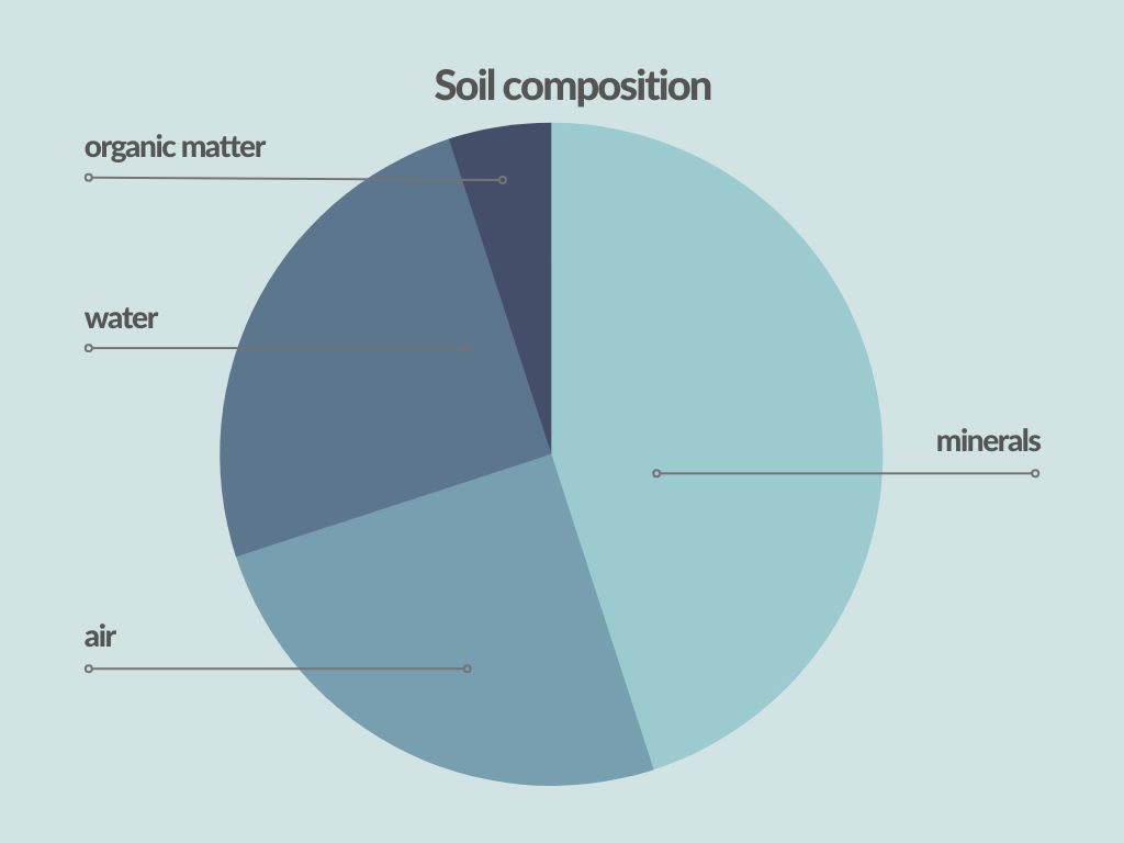 Pie chart showing that soil is 45% minerals, 5% organic matter, 25% water, 25% air