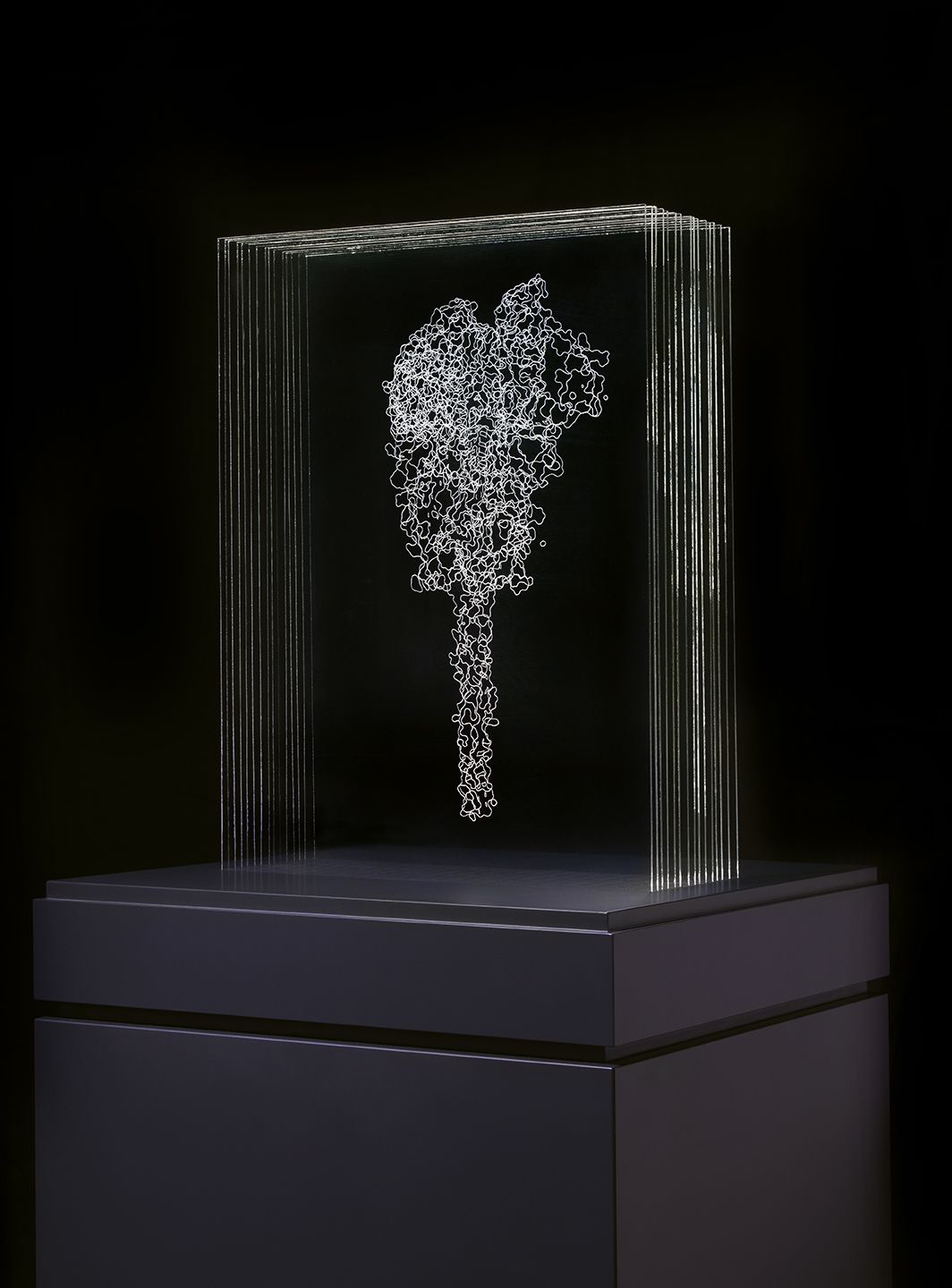 An illuminated, wiry-shaped form etched into multiple sheets of glass against a black background