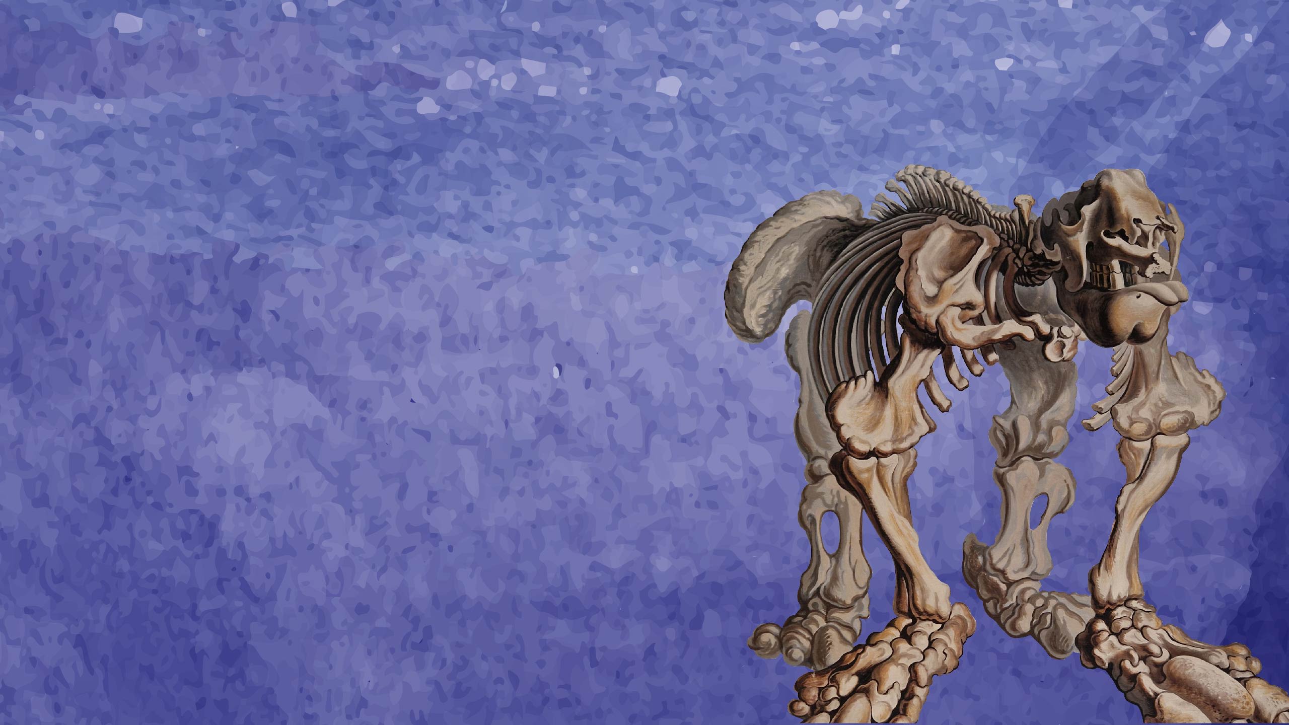 Drawing of a skeleton of an extinct creature