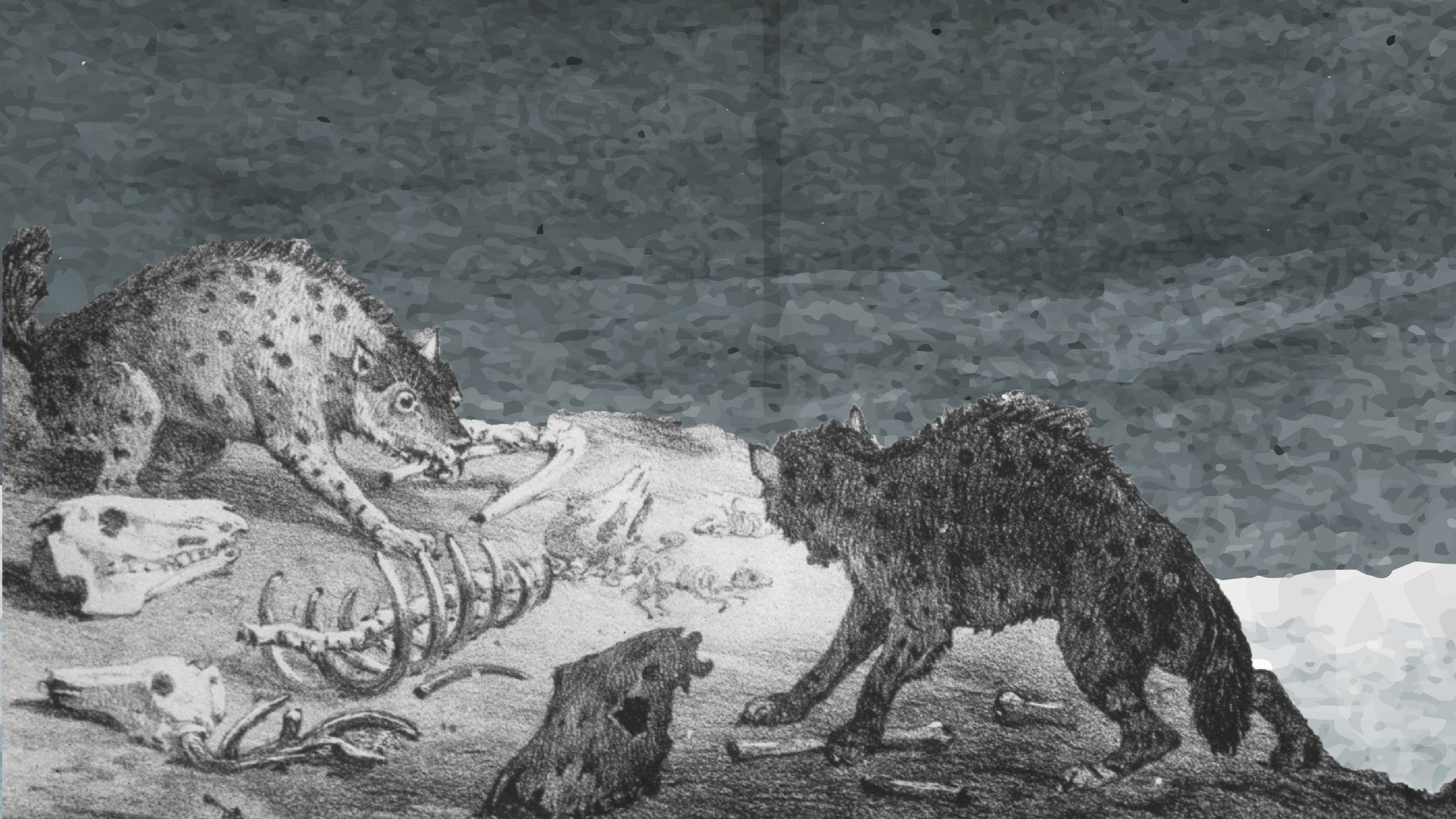Black and white drawing of two hyaenas and bones