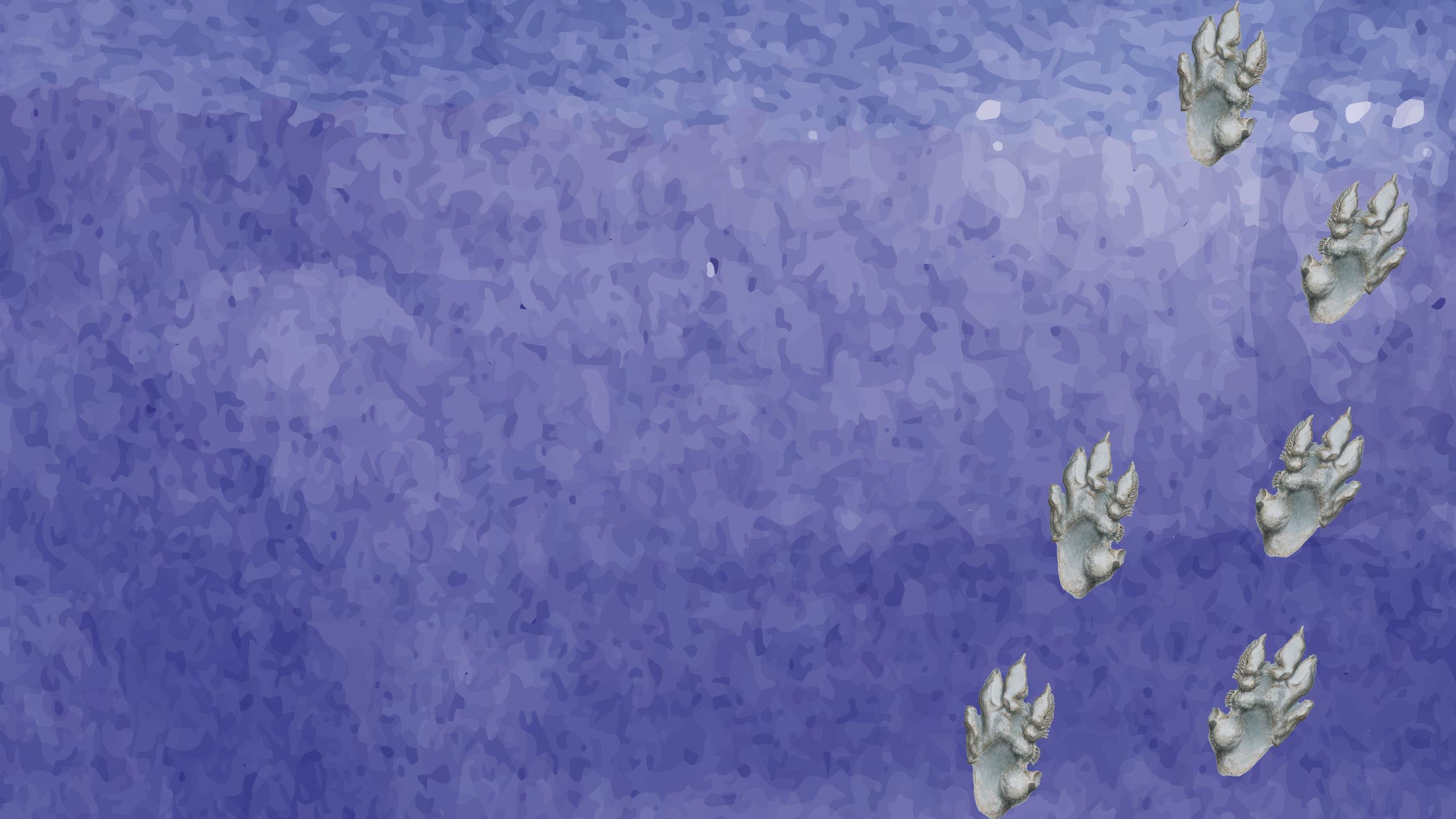 Illustration of light grey footprints