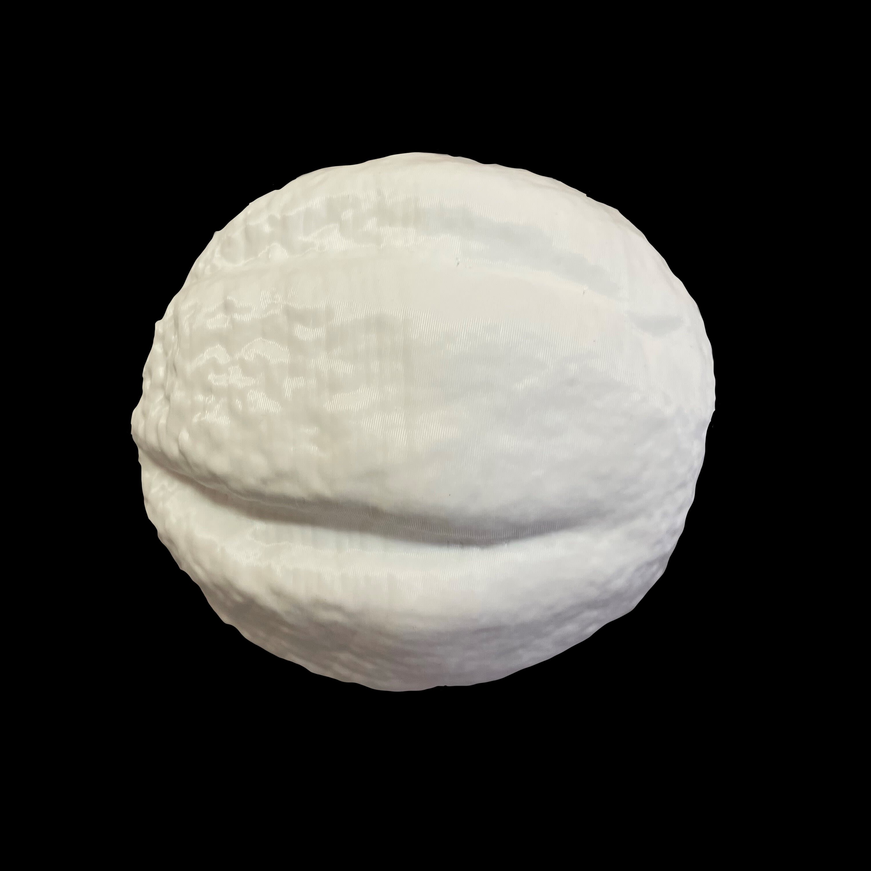 model of pollen, magnified