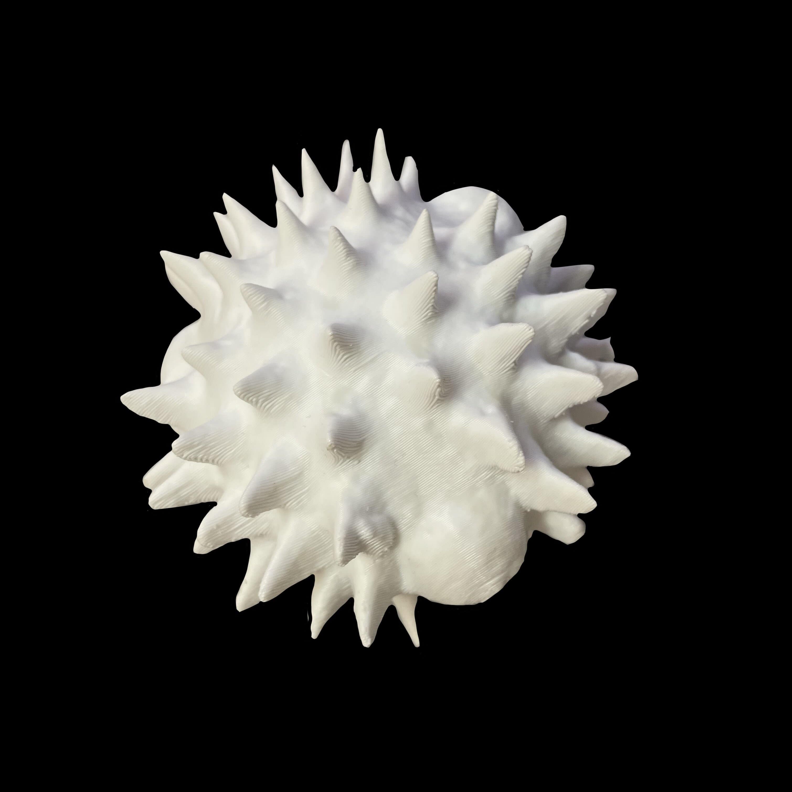 magnified model of pollen