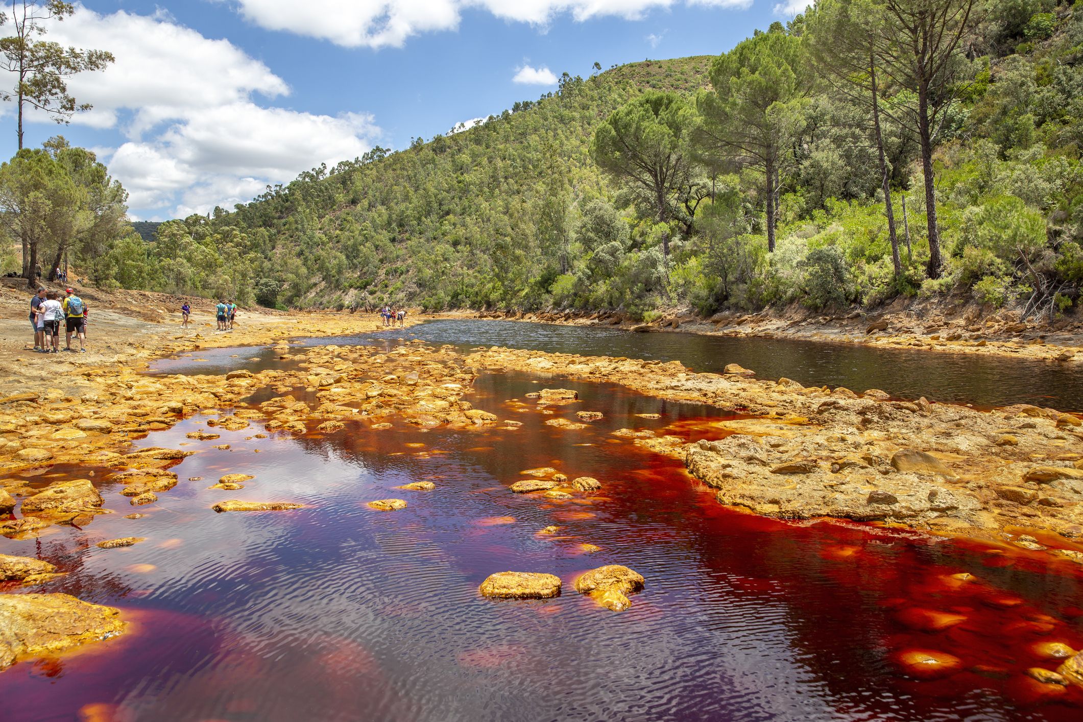 Pollution from Rio Tinto released into river