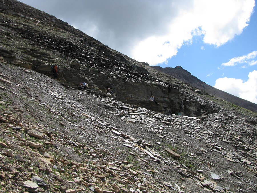 Rock-strewn hillside