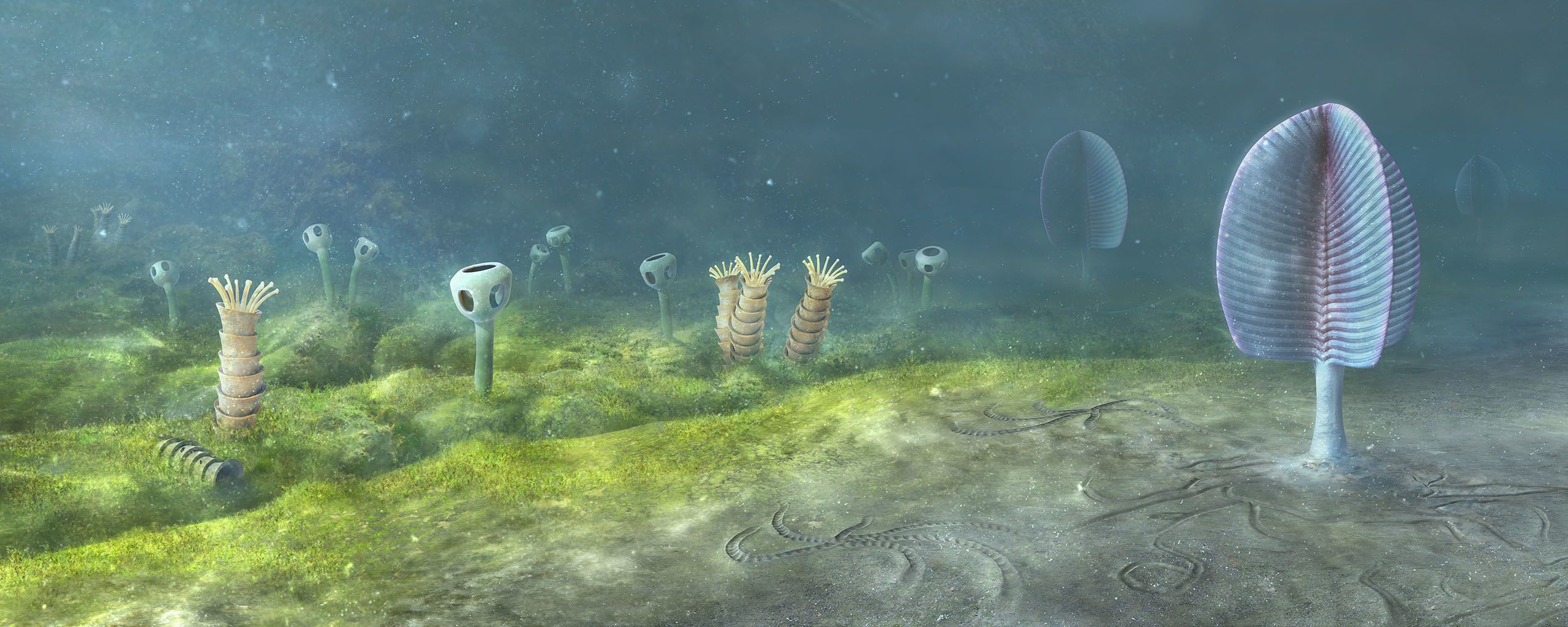 Artists reconstruction of seafloor