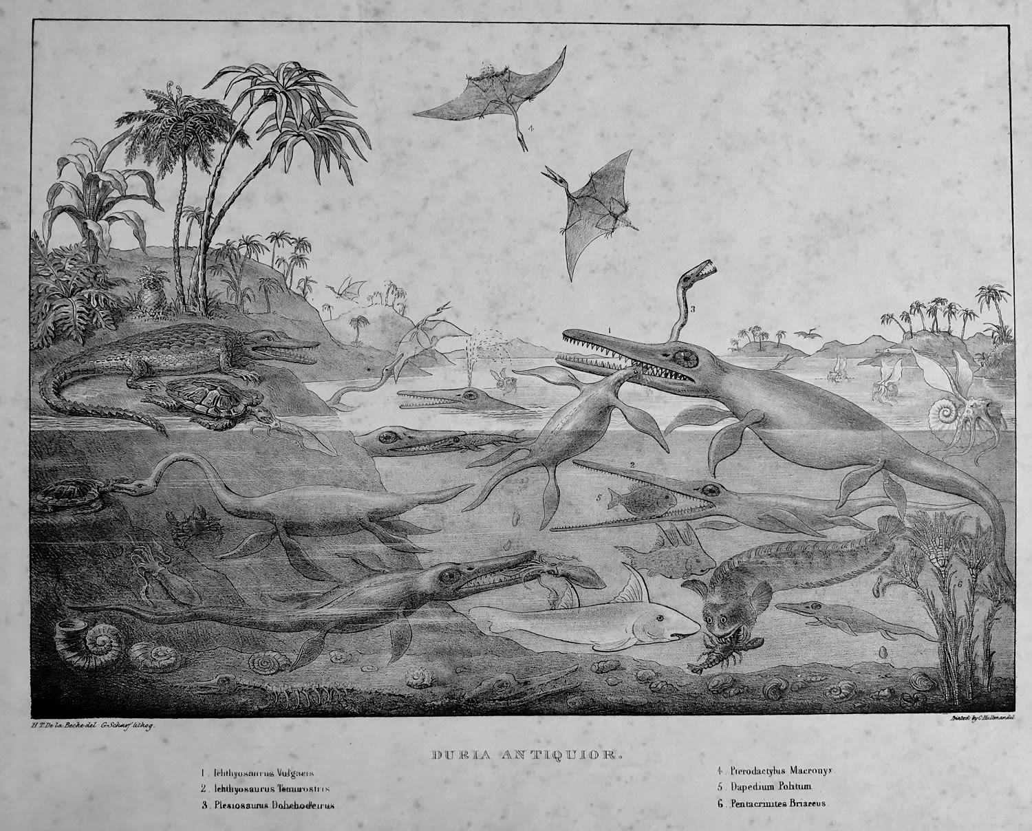 Line drawing depicting a Jurassic scene full of creatures in land, water and in the air