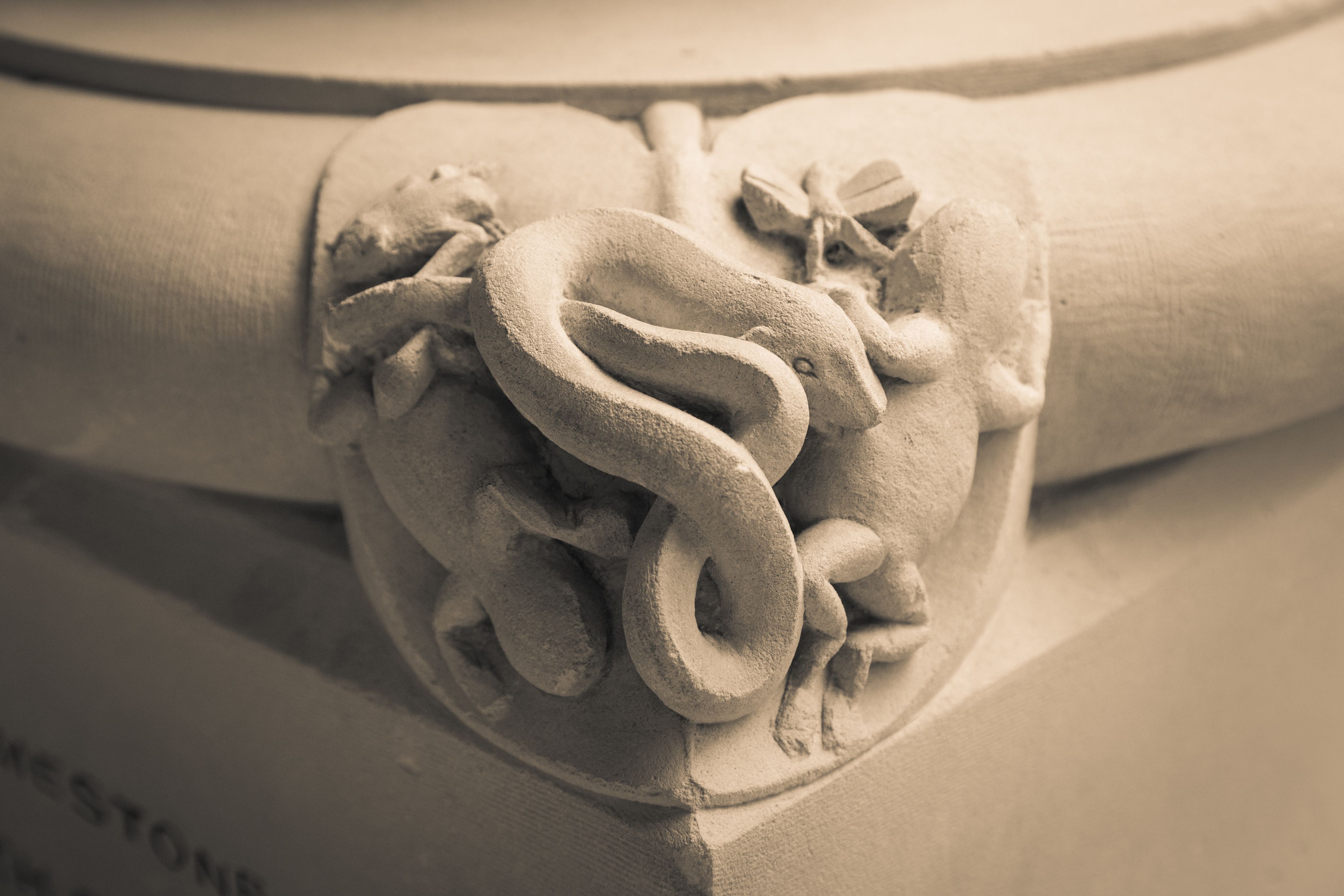 snake and frogs carved into column base