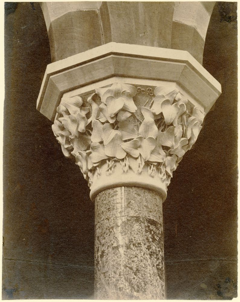 Capital carved with pickerel weed