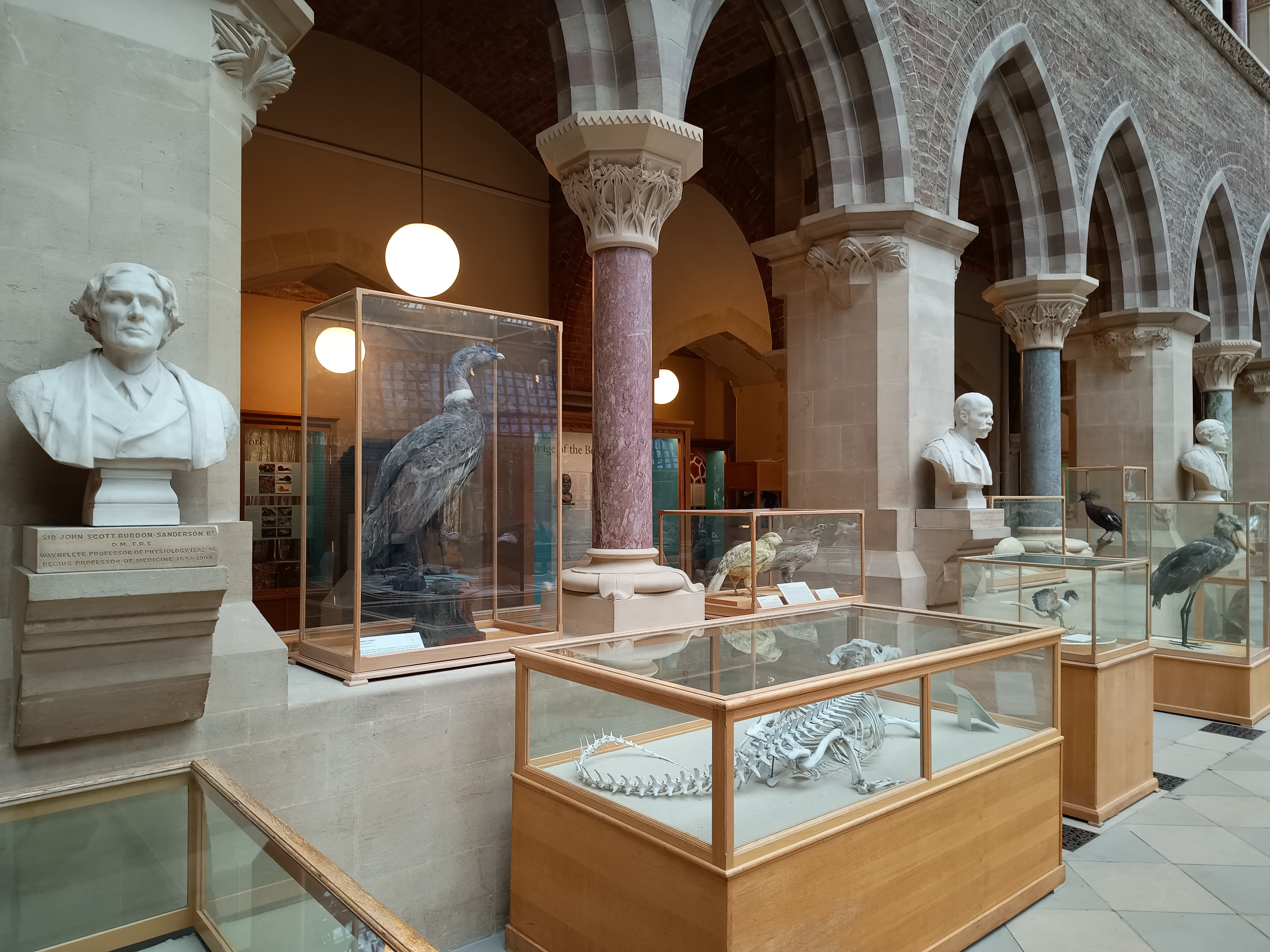 View of columns and carved capitals in the central court