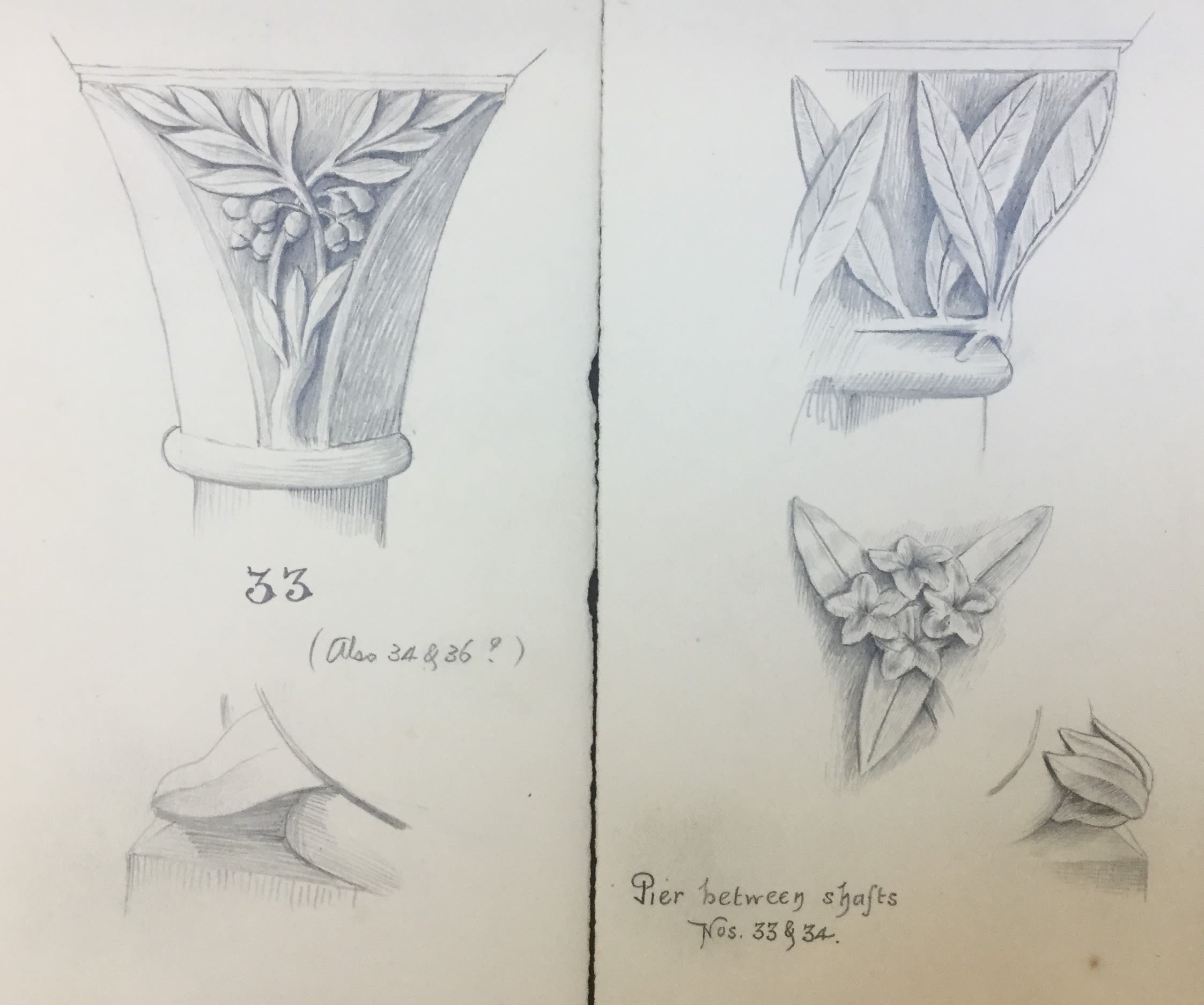 Pencil sketches of botanical designs for the upper capitals